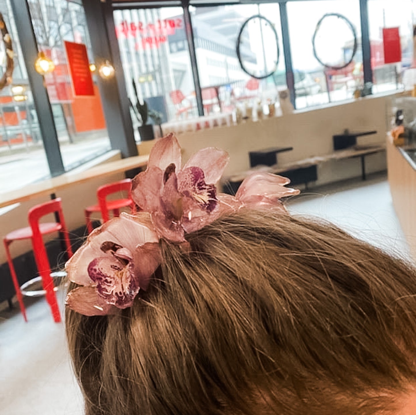 CYMBIDIUM orkidé hårnål, ekte tørket blomst, åpen