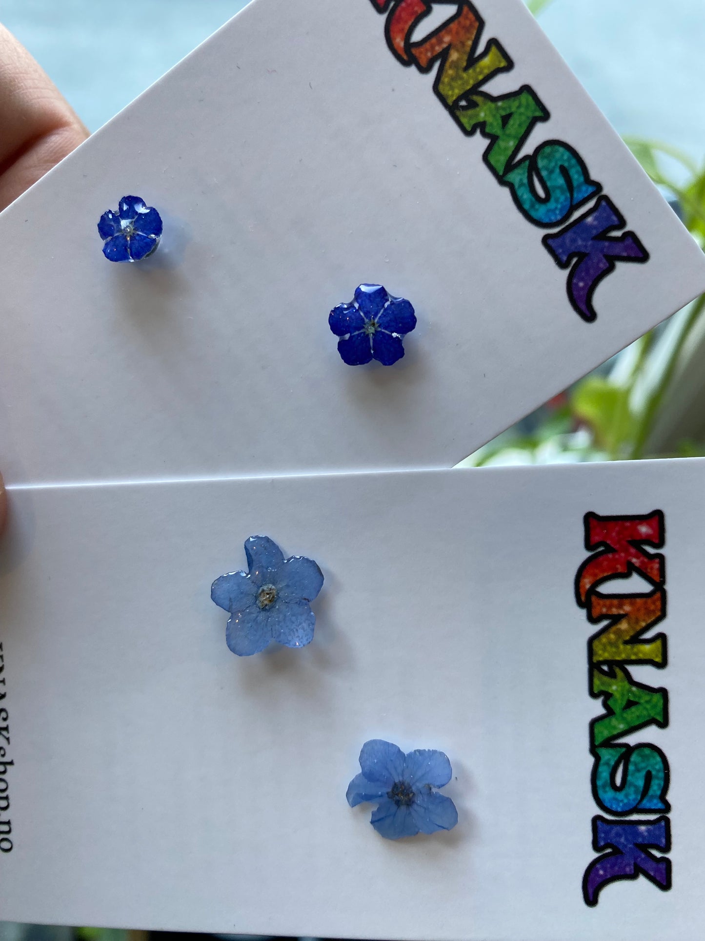 VÅRKJÆRMINNE øredobber, ekte tørkede blomster
