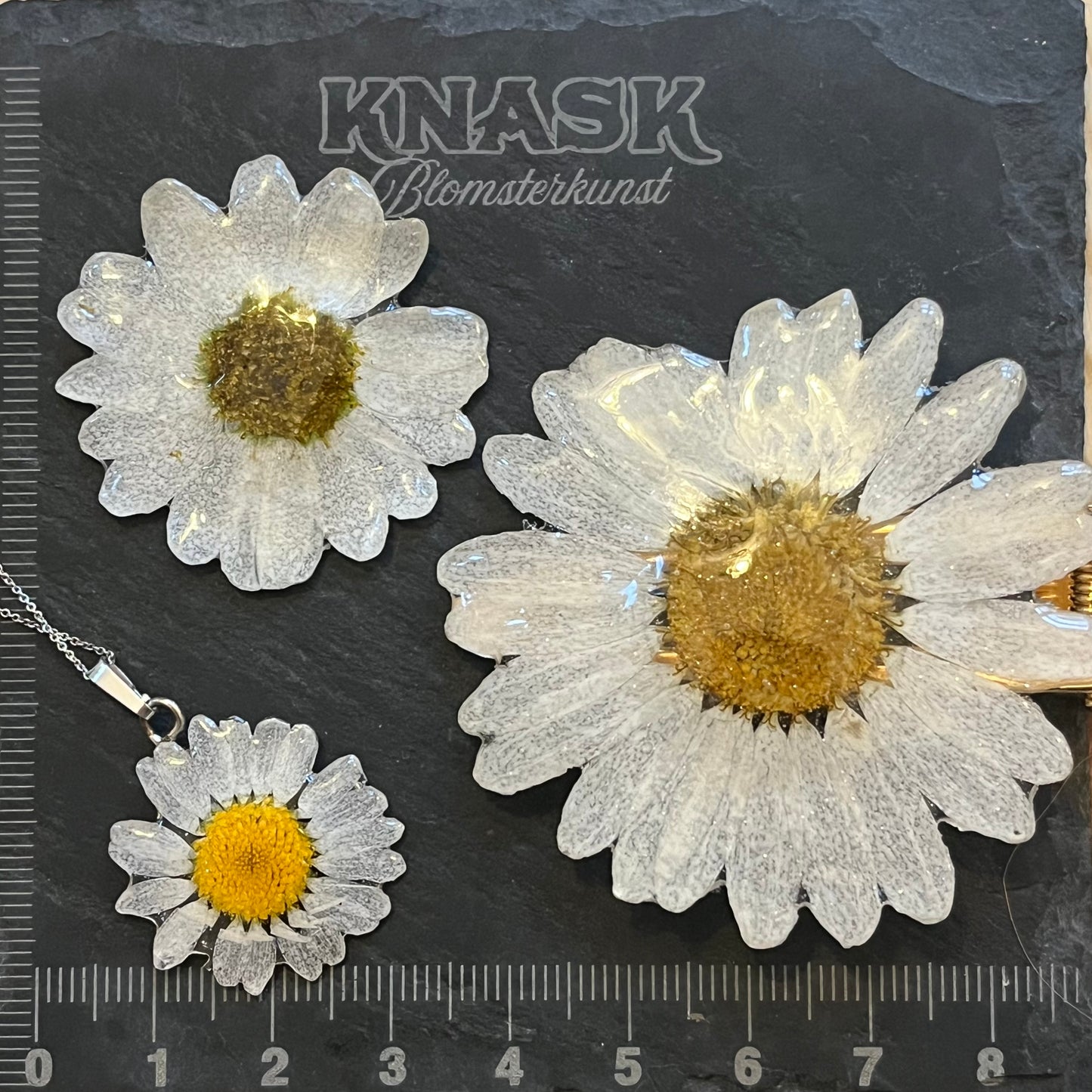 MARGERITT øredobber - ekte tørkede blomster
