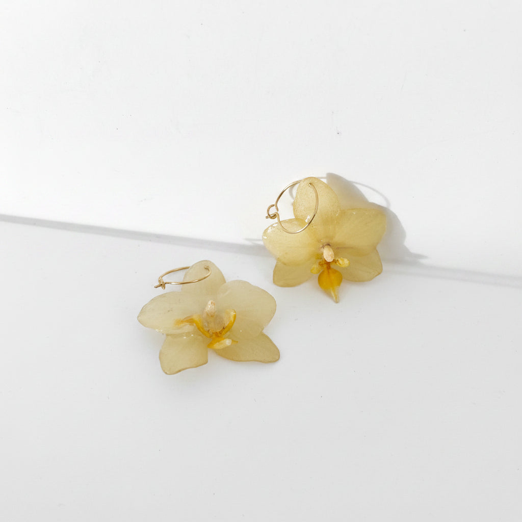 GUL CITRIN ORKIDÉ øredobber - ekte tørkede blomster