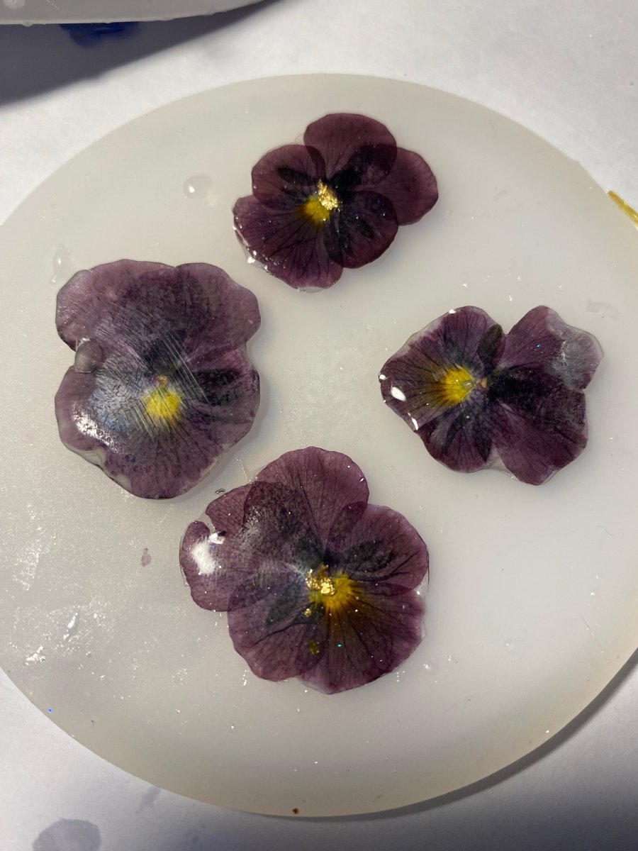 Årets stemorsblomster - KNASK