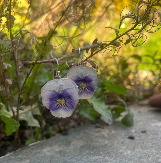 ÅSE fiol øredobber, ekte tørkede blomster Viola tricolor, 925 sølv - Øredobber KNASK