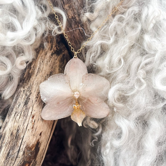 BEIGE ORKIDÉ blomstersmykke, ekte 3D-tørkrt blomst, 925 sølvkjede - KNASK