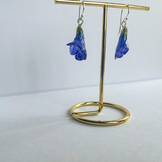 BLÅ ANZIO-KLOKKER øredobber, 3D-tørkede blomster, sølv ørekroker - KNASK
