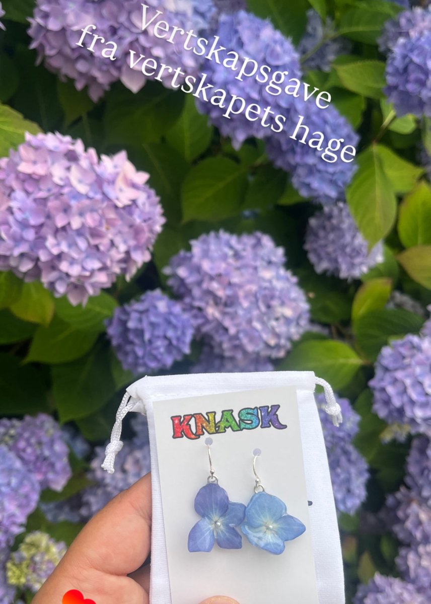BLÅ HORTENSIA øredobber, 925 sølv, ekte tørkede blomster - Øredobber KNASK