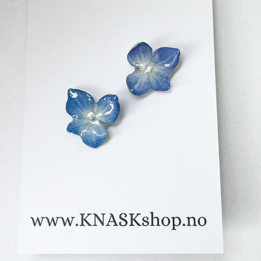 BLÅ HORTENSIA øredobber, ekte 3D-tørkede blomster, 925 sølv ørestift - KNASK