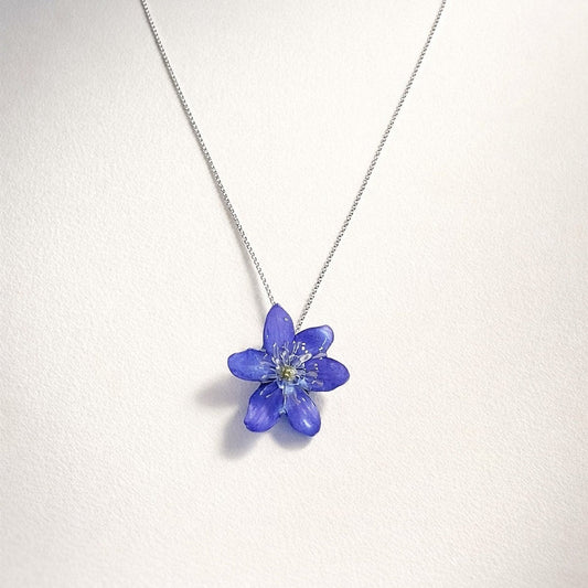 BLÅVEIS smykke - ekte tørket blomst - Smykke KNASK