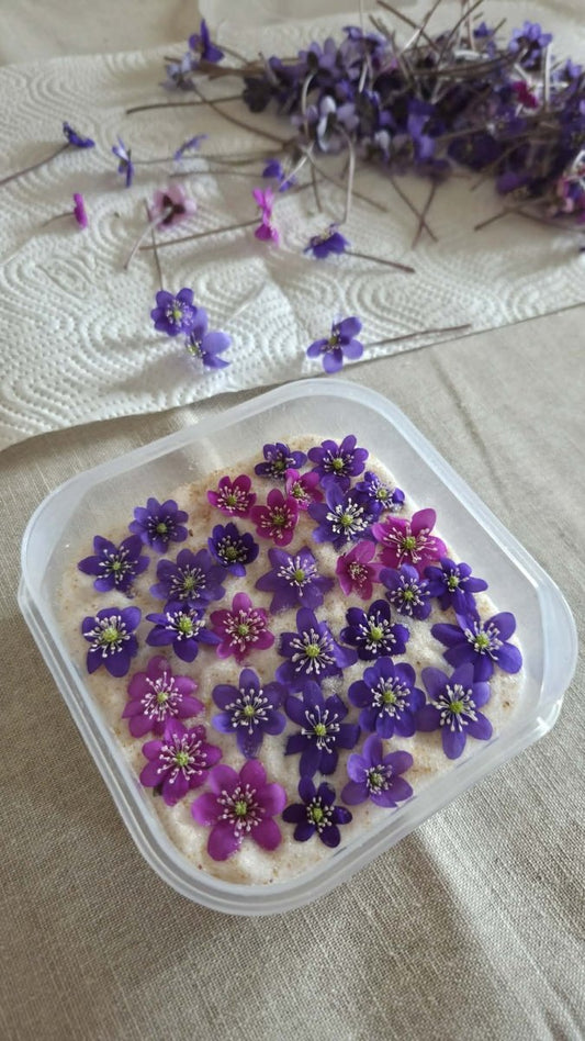 BLÅVEIS smykke - ekte tørket blomst - Smykke KNASK