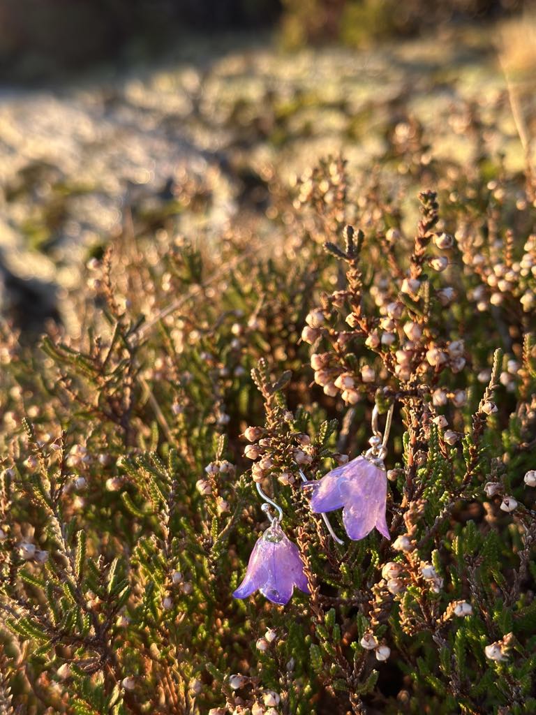 Blåklokker øredobber, 3D sølv - Øredobber KNASK