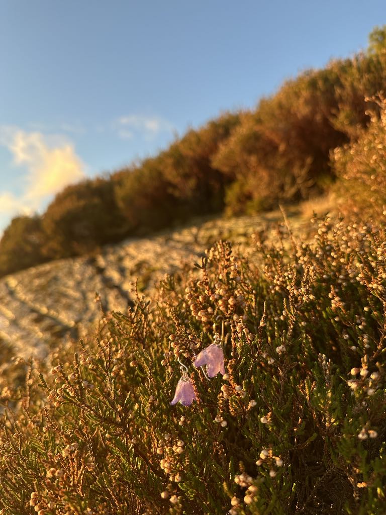Blåklokker øredobber, 3D sølv - Øredobber KNASK