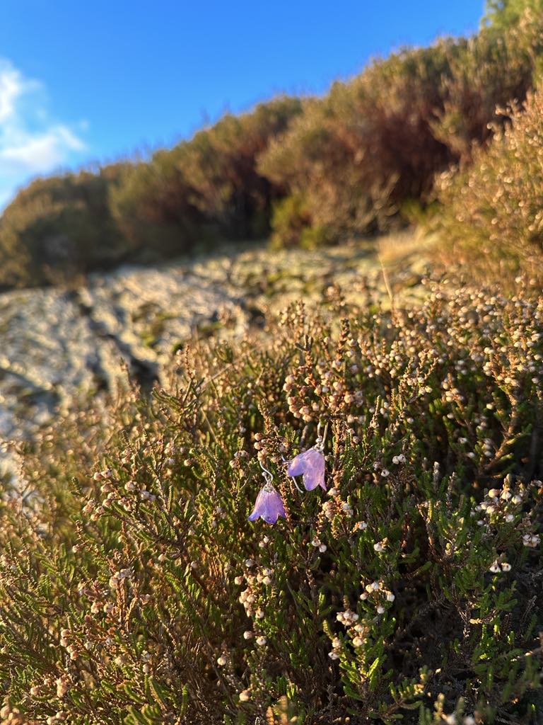 Blåklokker øredobber, 3D sølv - Øredobber KNASK