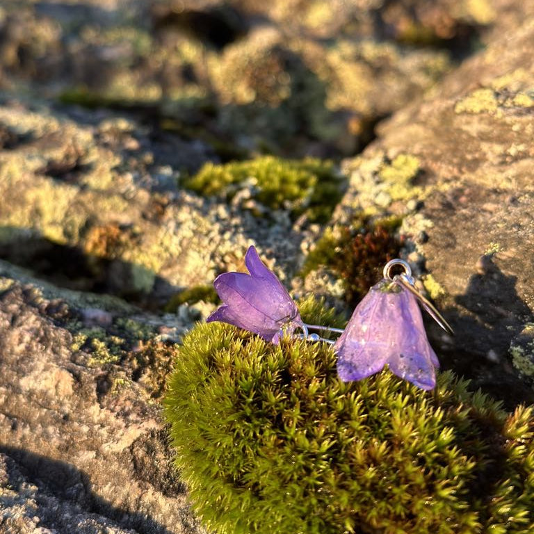 BLÅKLOKKER øredobber, 3D-tørkede blomster, 925 sølv - KNASK