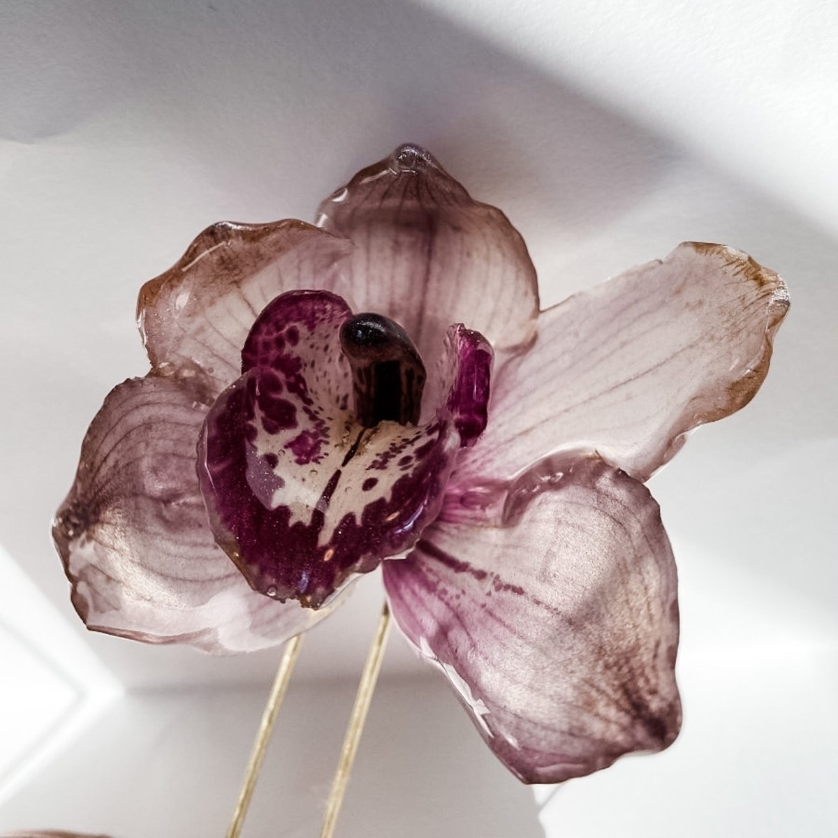 CYMBIDIUM orkidé hårnål, ekte tørket blomst, åpen - Hårpynt KNASK