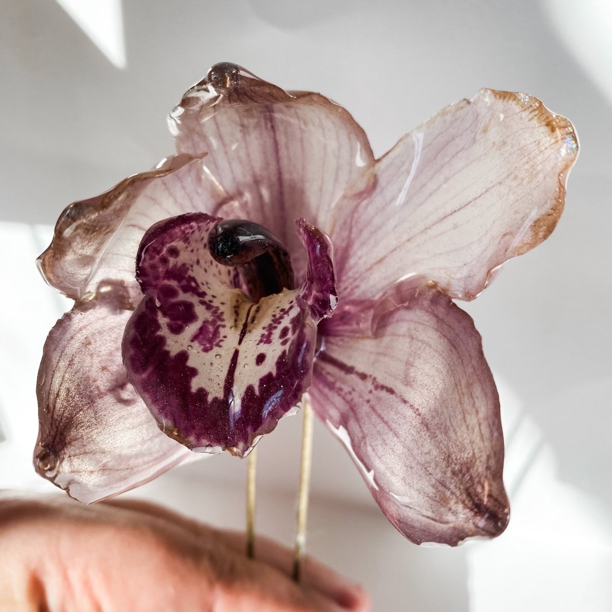 CYMBIDIUM orkidé hårnål, ekte tørket blomst, åpen - Hårpynt KNASK