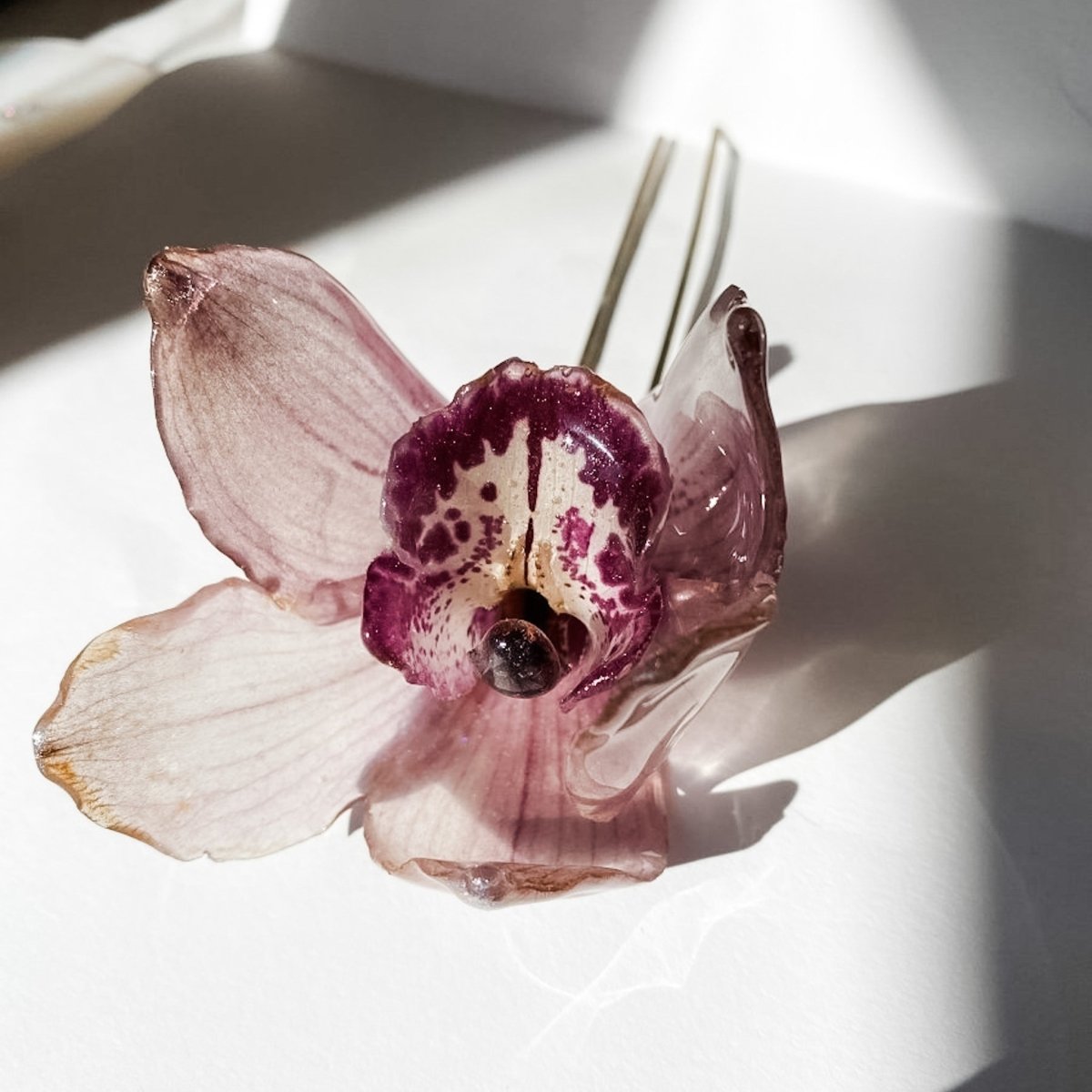 CYMBIDIUM orkidé hårnål, ekte tørket blomst, åpen - Hårpynt KNASK