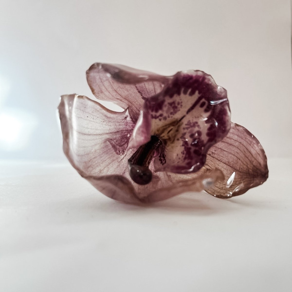 CYMBIDIUM orkidé hårnål, ekte tørket blomst, åpen - Hårpynt KNASK