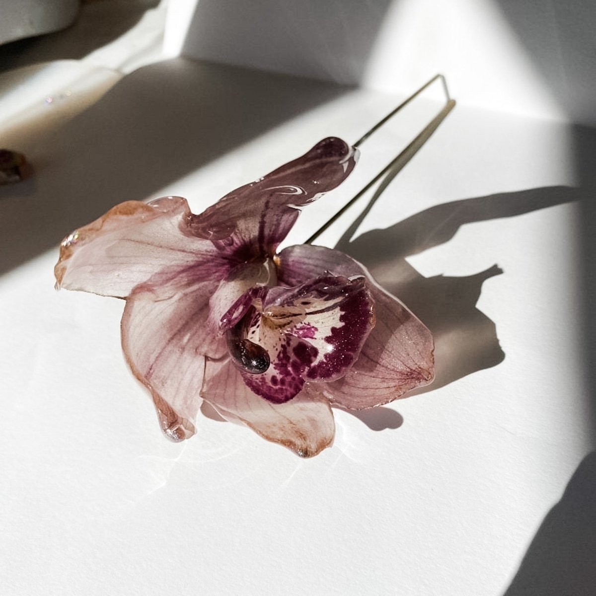 CYMBIDIUM orkidé hårnål, ekte tørket blomst, åpen - Hårpynt KNASK