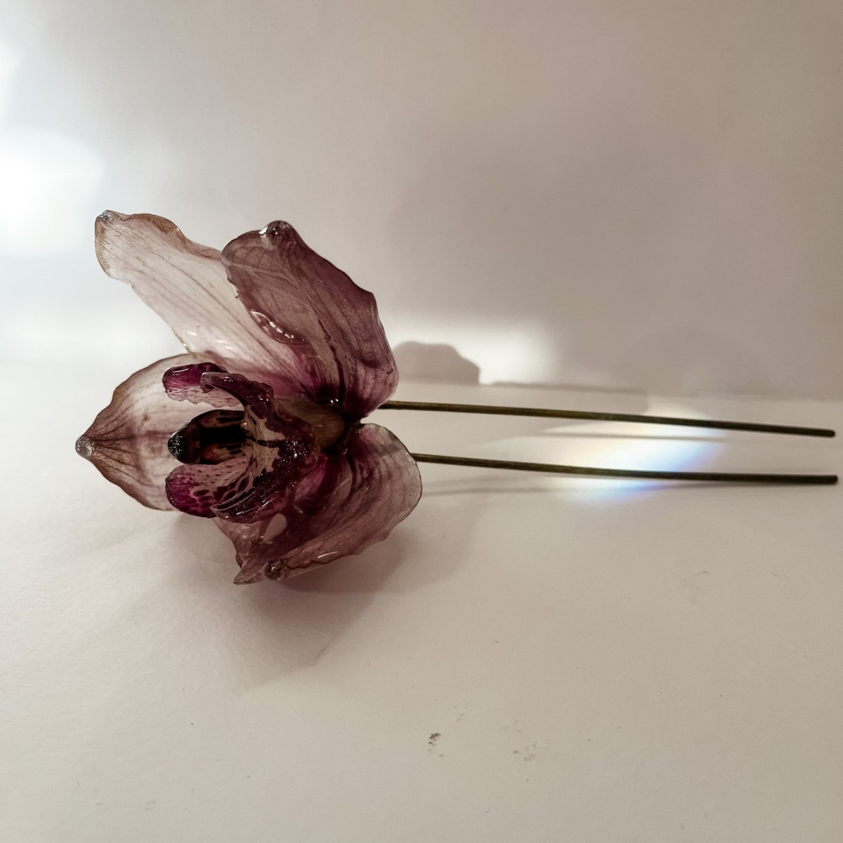 CYMBIDIUM orkidé hårnål, ekte tørket blomst - Hårpynt KNASK