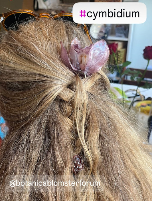 CYMBIDIUM orkidé hårnål, ekte tørket blomst - KNASK