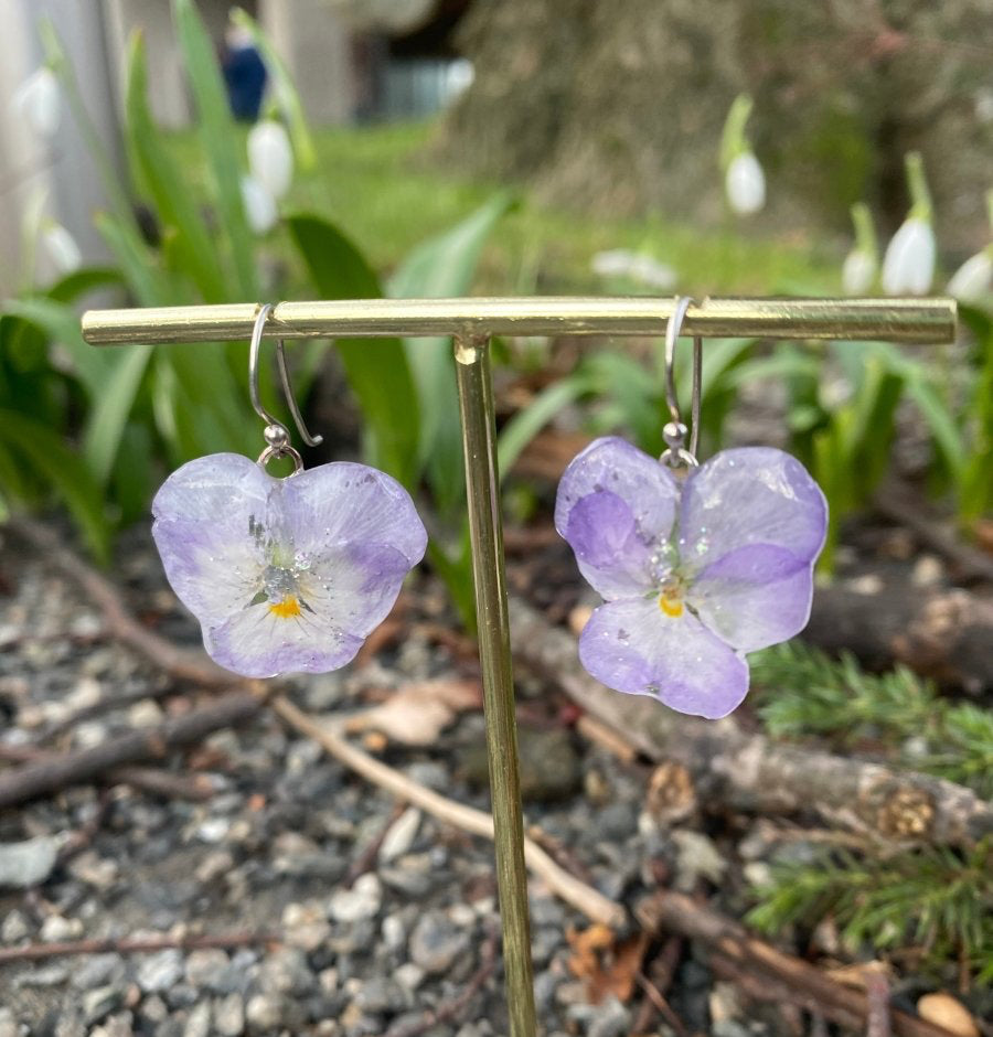 DUS LILLA FIOLER øredobber, ekte stemorsblomst, 925 sølv ørekroker - KNASK