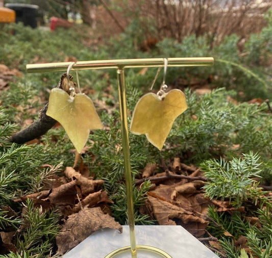 Eføy-øredobber, mose, sølv - KNASK