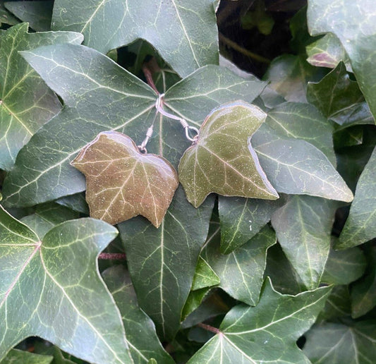 Eføy-øredobber, 925 sølv ørekroker - KNASK