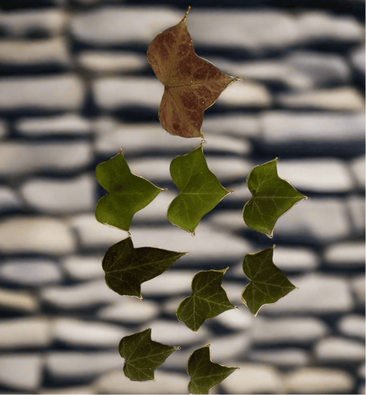 EFØY smykke av ekte tørket blad, overKNASKelse - KNASK