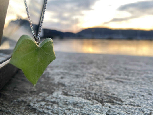 Eføy-smykke, knallgrønt, 925 sølvkjede - KNASK