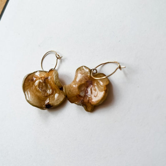 EPLE frukt-øredobber, 3D-tørket eplekart - KNASK