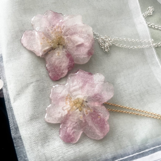 EPLEBLOMST øredobber, ekte tørkede blomster, 925 sølv - KNASK