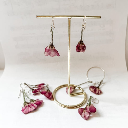 EPLEBLOMST øredobber, ekte tørkede blomster, 925 sølv - KNASK