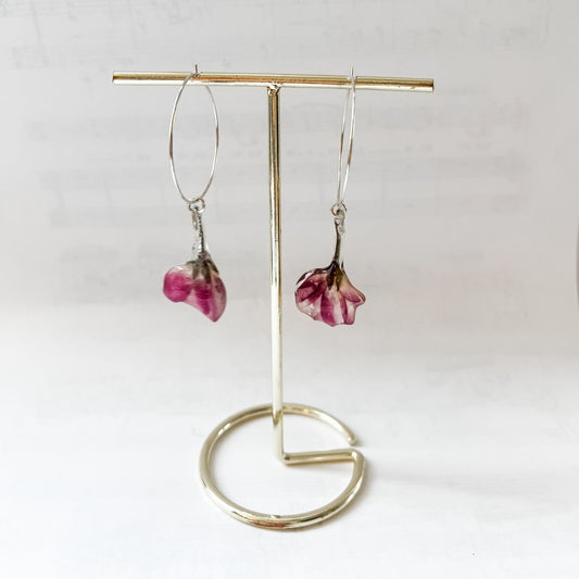 EPLEBLOMST øredobber, ekte tørkede blomster, 925 sølv - KNASK