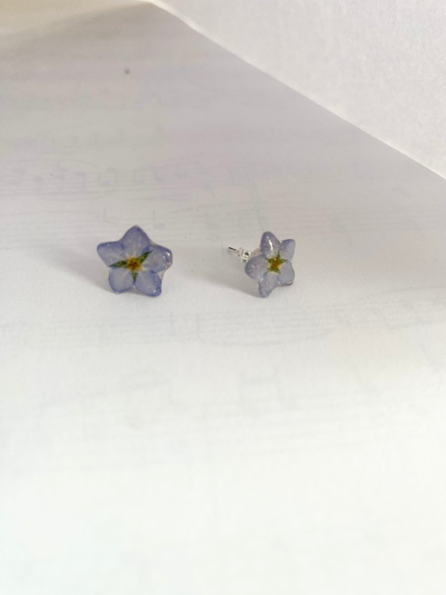FORGLEMMEGEI MINI øredobber, ekte tørkede blomster - Øredobber KNASK