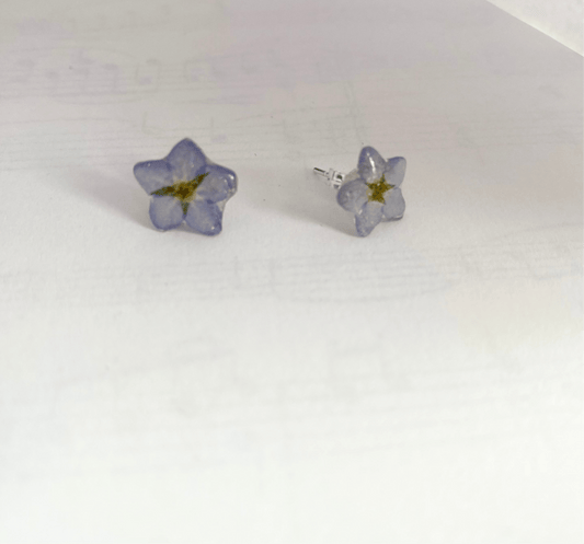 FORGLEMMEGEI øredobber, ekte tørkede blomster - KNASK