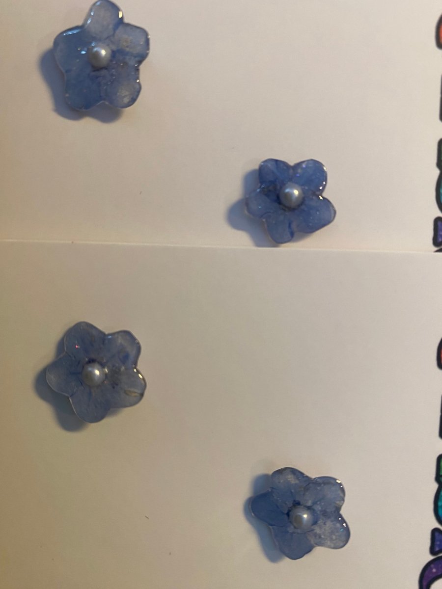 FORGLEMMEGEI øredobber, ekte tørkede blomster - Øredobber KNASK