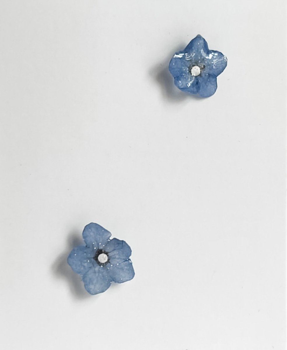 FORGLEMMEGEI øredobber, ekte tørkede blomster - Øredobber KNASK