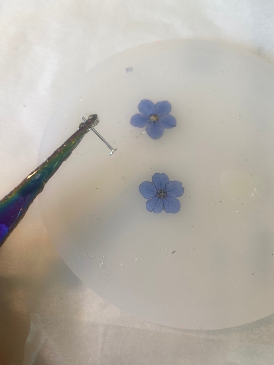 FORGLEMMEGEI øredobber, ekte tørkede blomster - Øredobber KNASK