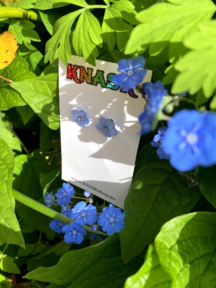 FORGLEMMEGEI øredobber, ekte tørkede blomster - Øredobber KNASK