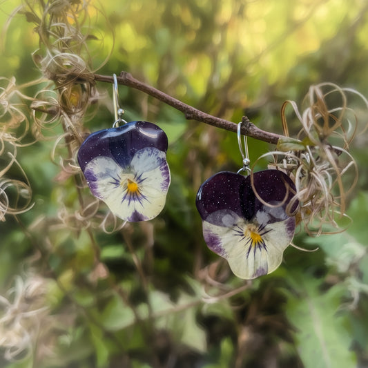 GLAMOUR fiol øredobber, ekte 3D-tørkede blomster Viola tricolor, 925 sølv - KNASK