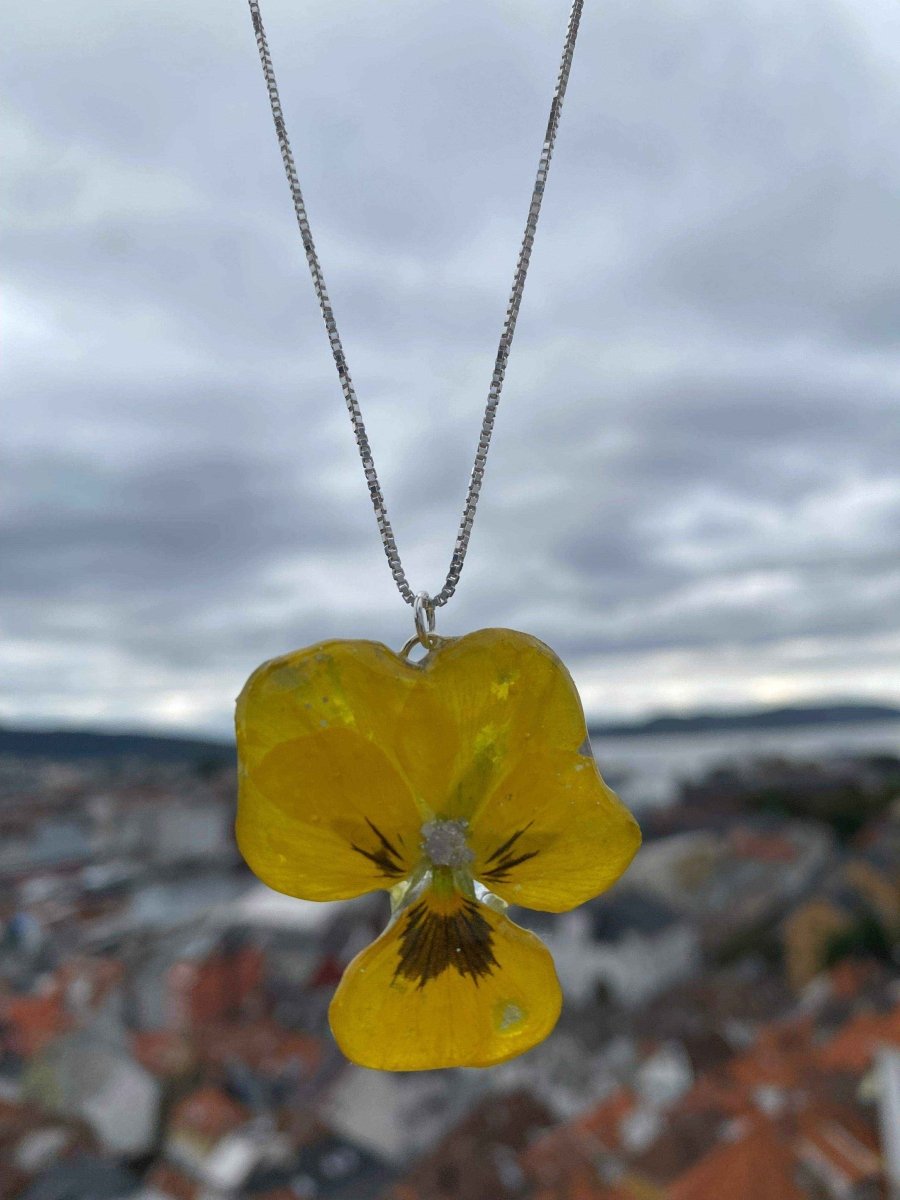 Gul fiol-smykke, ekte stemorsblomst, 925 sølvkjede - KNASK