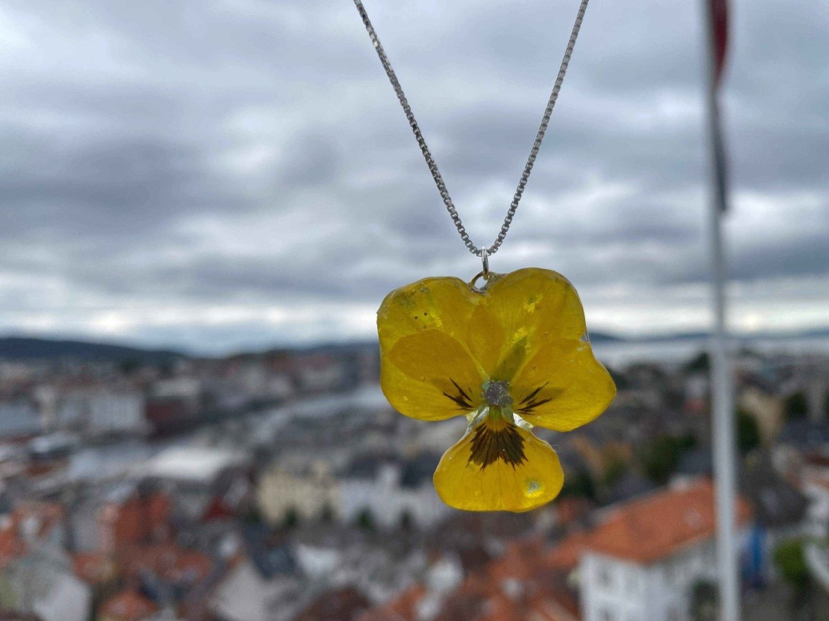 Gul fiol-smykke, ekte stemorsblomst, 925 sølvkjede - KNASK