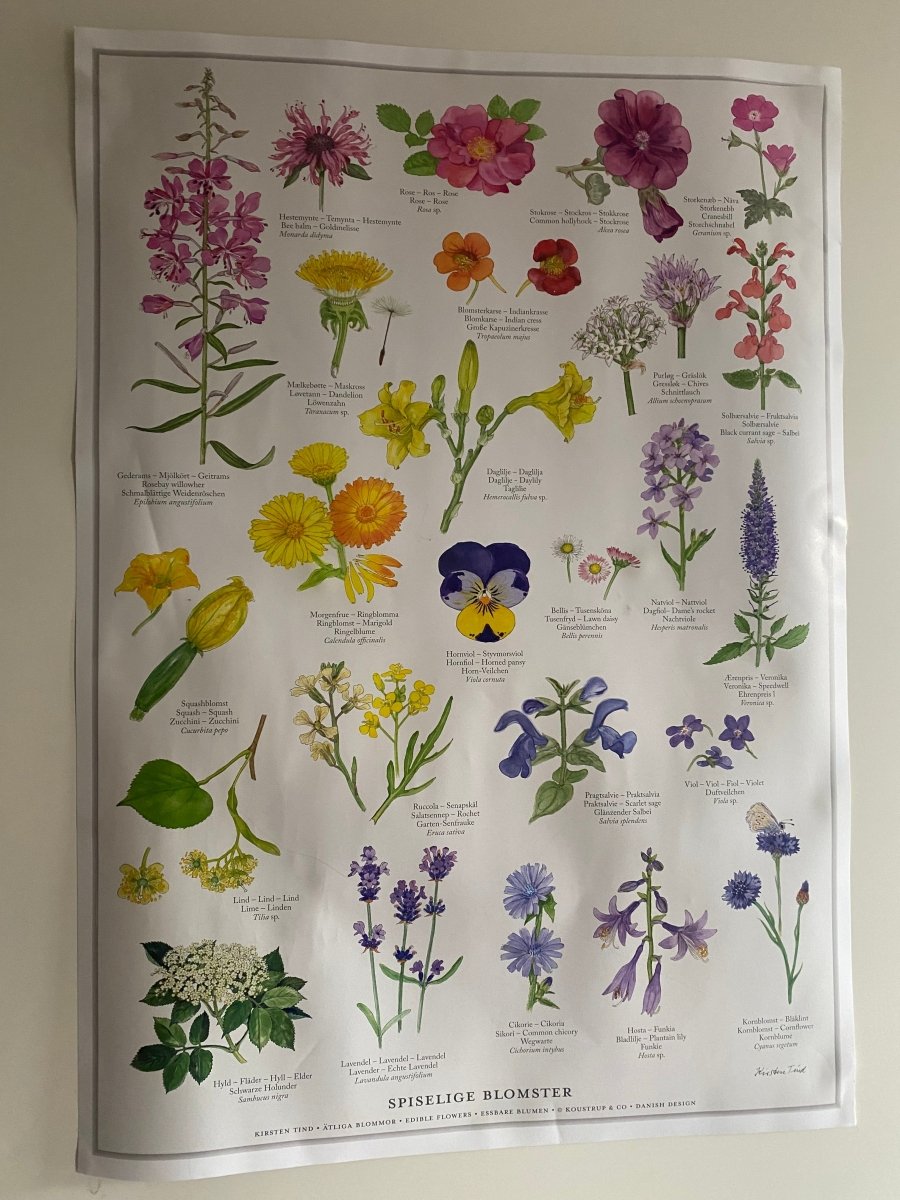 GUL OG LILLA STEMORSBLOMST blomstersmykke, 3D-tørket fiol, 925 sølvkjede - KNASK