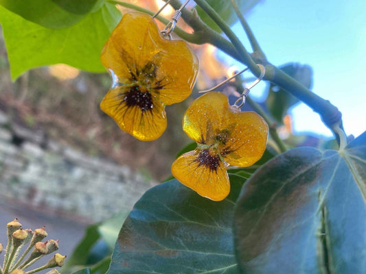 GULE FJELLFIOLER øredobber, presset stemorsblomst, 925 sølv ørekroker - KNASK