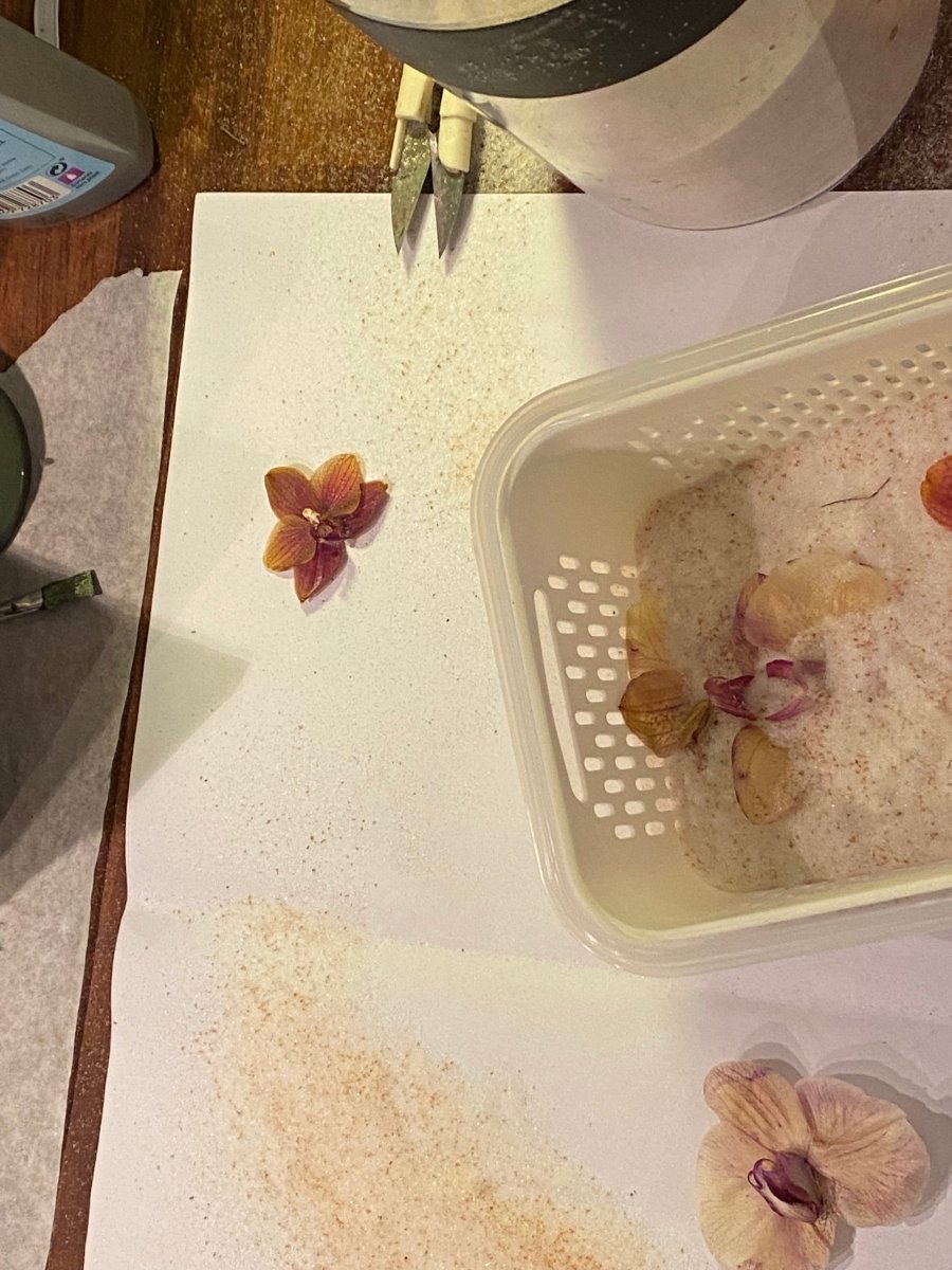 Gylden orkidé-smykke, gullbelagt messingkjede - KNASK