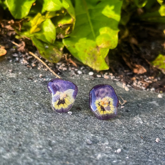 HALLOWEEN FIOLER øredobber av ekte stemorsblomst, ørestift med lås - KNASK