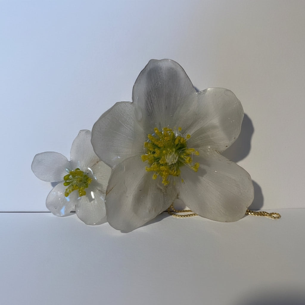 HELLEBORUS hårspenne, sølvfarget krokodilleklemme - KNASK