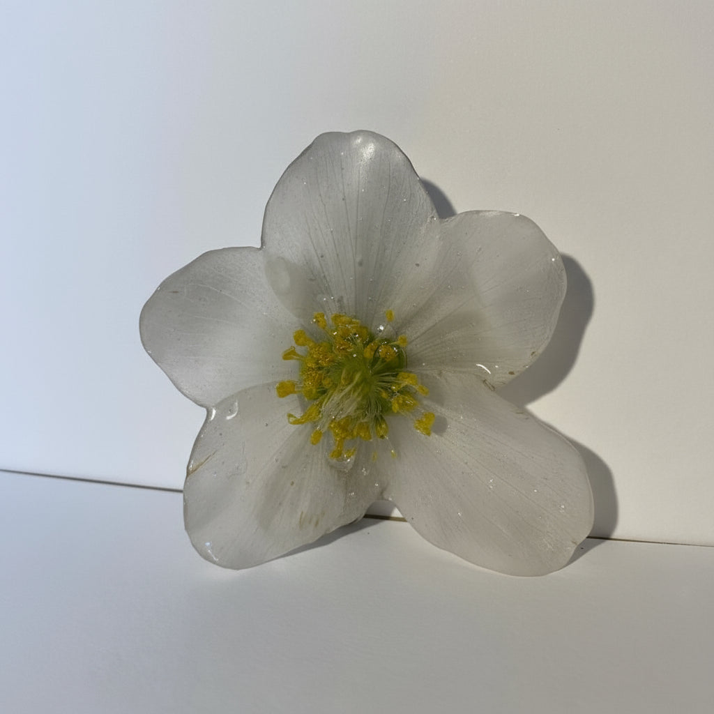 HELLEBORUS hårspenne, sølvfarget krokodilleklemme - KNASK