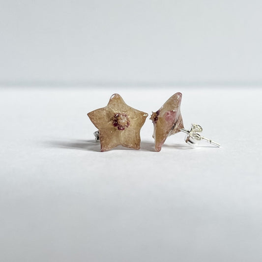 HOYA PERLEBLOMST øredobber, sølv ørestikker med lås - KNASK