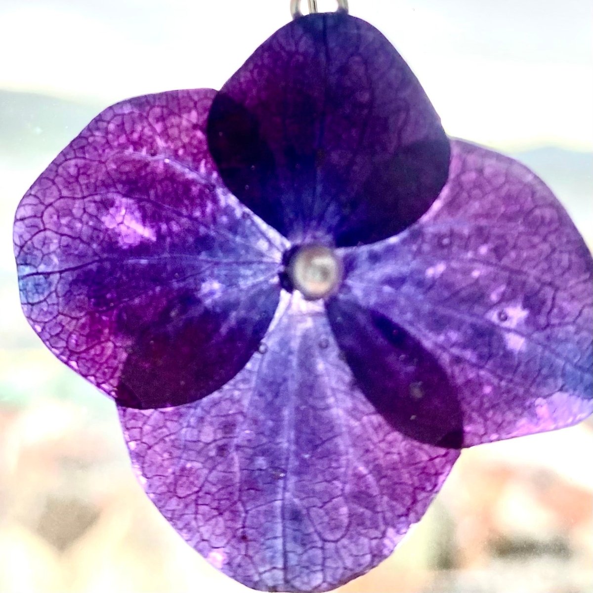 INDIGO HORTENSIA øredobber, sølv ørekroker - Øredobber KNASK