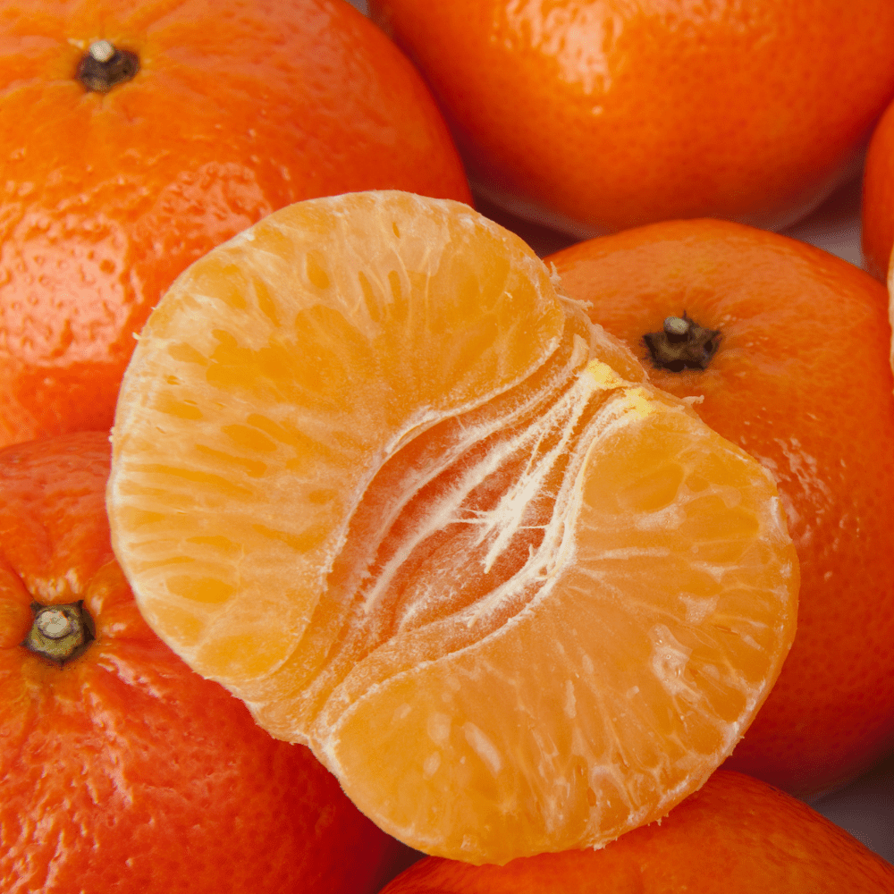 KLEMENTIN øredobber - ekte tørket frukt - Øredobber KNASK